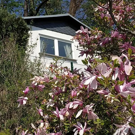 Hébergement de vacances Mit Aussicht *